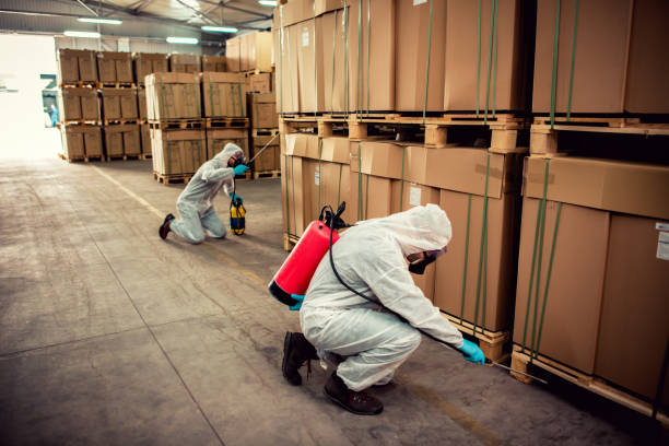 Best Rat Extermination Near Me  in Rockton, IL