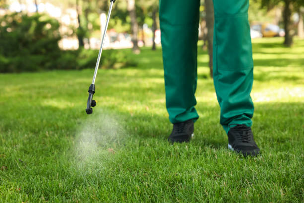 Best Rodent Control Near Me  in Rockton, IL