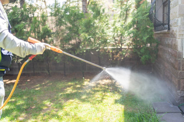 Best Affordable Pest Control Services  in Rockton, IL
