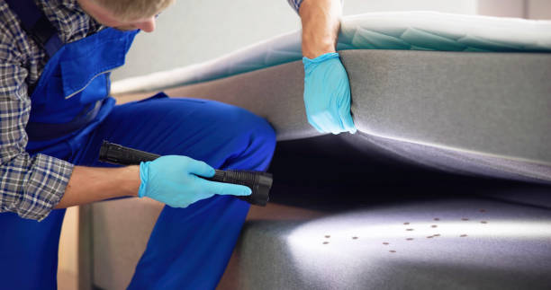 Best Commercial Pest Control Services  in Rockton, IL