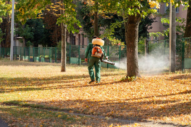 Best Pest Removal Services  in Rockton, IL