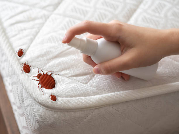 Best Exterminator Services  in Rockton, IL
